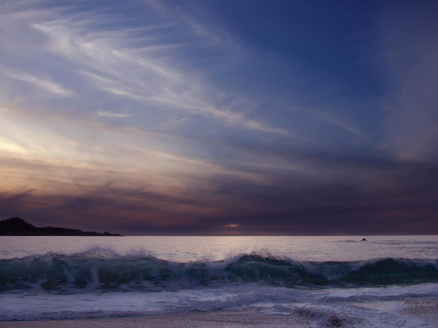 Обои картинки фото 