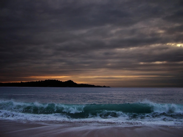 Обои картинки фото 