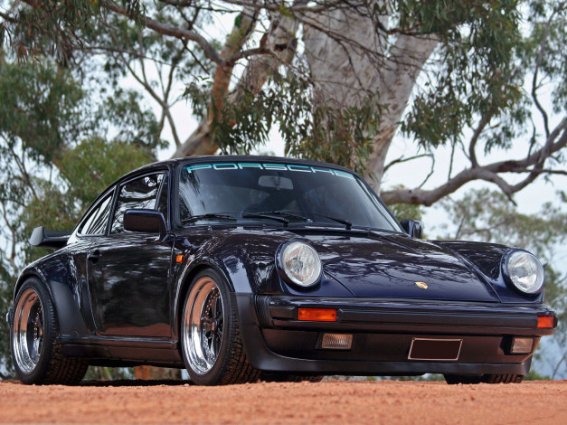 Обои картинки фото 911, автомобили, porsche