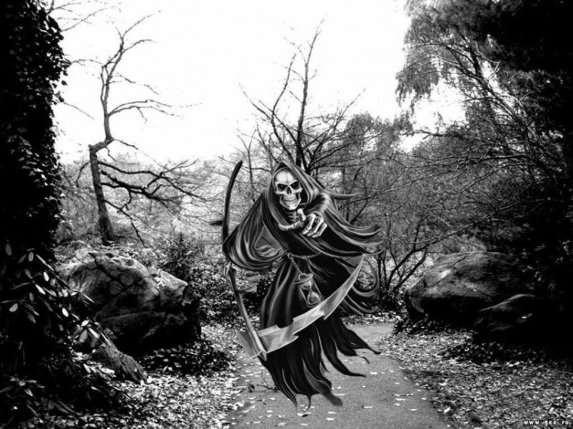 Обои картинки фото фэнтези, нежить