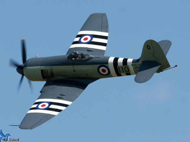 Обои картинки фото авиация, лёгкие, одномоторные, самолёты