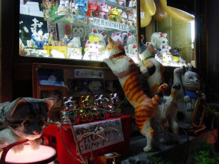 Картинка разное игрушки