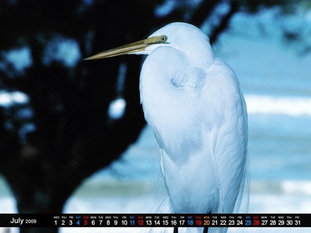 Обои картинки фото календари, животные