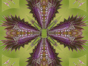 Картинка 3д графика fractal фракталы