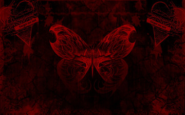 Картинка векторная графика бабочка