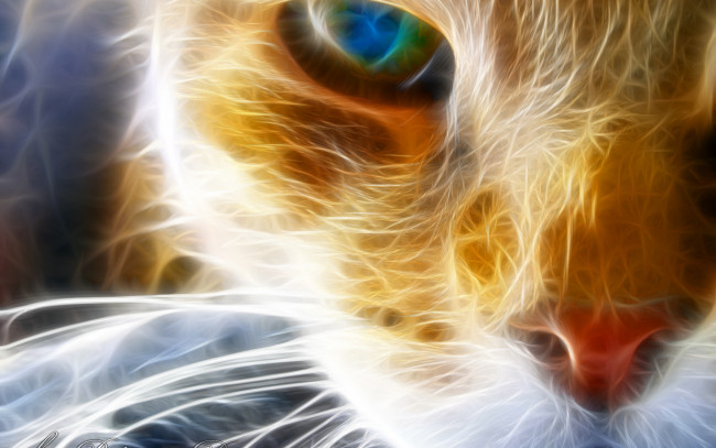 Обои картинки фото 3д, графика, animals, животные, кот