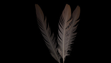 Картинка разное перья фон