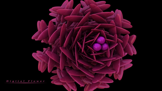 Обои картинки фото 3д графика, цветы , flowers, лепестки