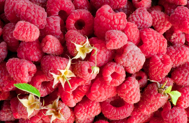 Обои картинки фото еда, малина, ягоды