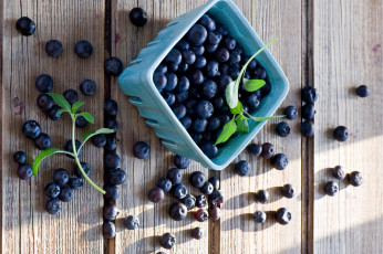 Картинка еда голубика +черника ягоды миска