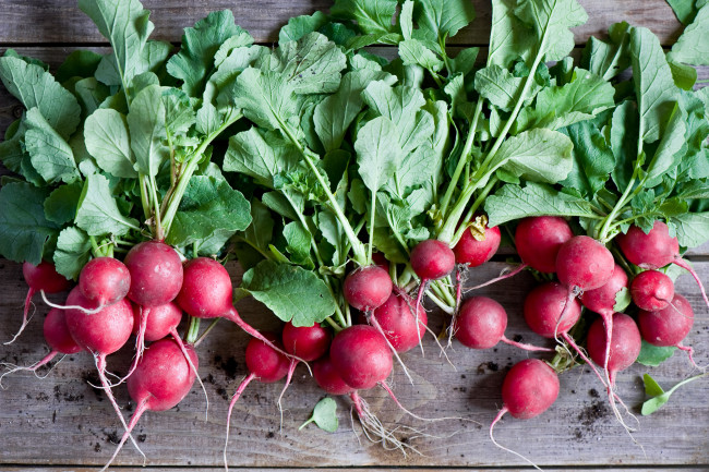 Обои картинки фото еда, редис,  репа,  редька, красный, листья