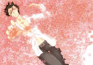 Картинка аниме fate zero лансер