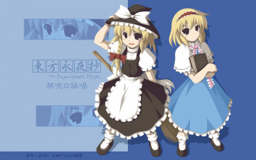 Картинка аниме touhou взгляд девушки фон