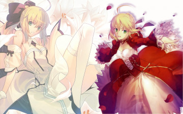 Картинка fate+extra аниме fate stay+night фон взгляд девушка