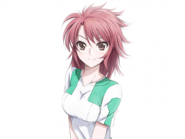 Обои картинки фото аниме, mahouka koukou no rettousei, девушка, erika, chiba