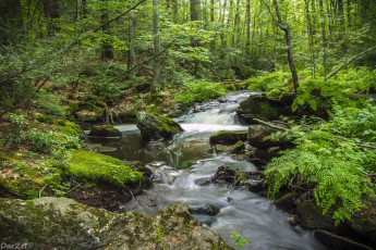 Картинка природа реки озера лес река вода деревья