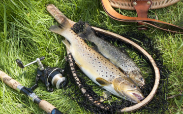 Картинка разное рыбалка +рыбаки +улов +снасти улов