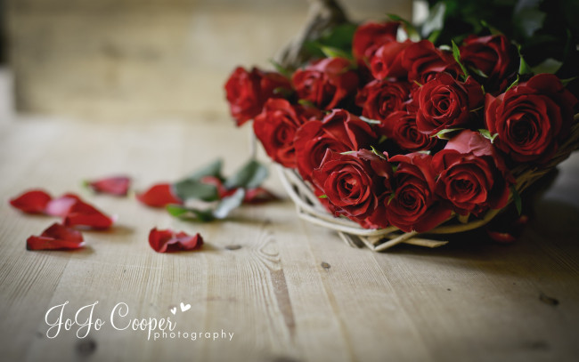 Обои картинки фото цветы, розы, корзинка, лепестки, доски