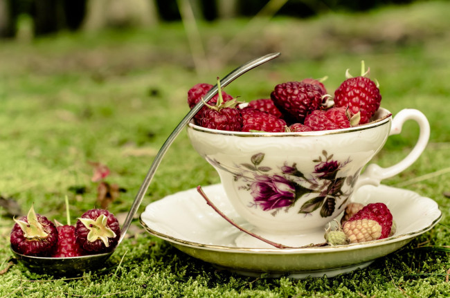 Обои картинки фото еда, малина, трава, чашка, половник, блюдце, ягоды
