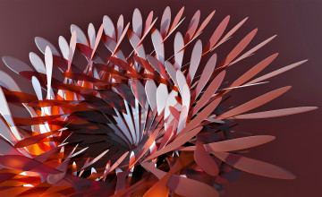 Картинка 3д+графика цветы+ flowers цветок лепестки