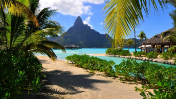 Картинка природа тропики пальмы горы бунгало вода