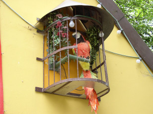 Картинка rasti land разное игрушки