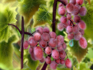 Картинка рисованные еда