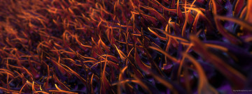 Картинка 3д графика другое