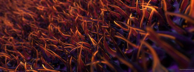 Обои картинки фото 3д, графика, другое