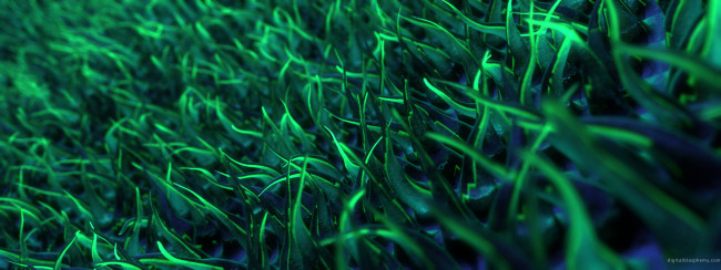 Обои картинки фото 3д, графика, другое