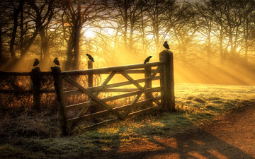 Картинка рисованные природа