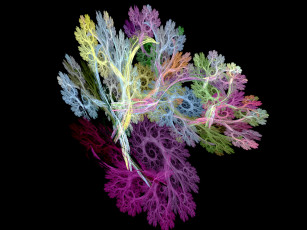 Картинка 3д графика fractal фракталы абстркция