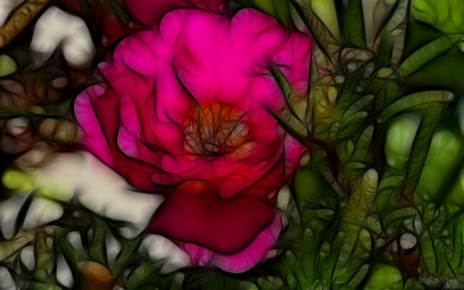 Обои картинки фото 3д, графика, flowers, цветы, фрактал, цветок