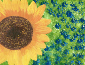 Картинка рисованные цветы подсолнух