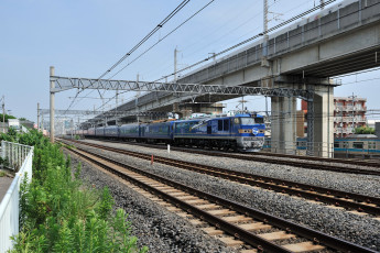 Картинка техника поезда мост поезд