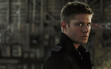 Картинка мужчины jensen ackles взгляд