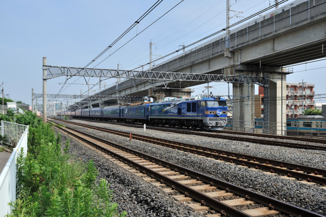 Обои картинки фото техника, поезда, мост, поезд