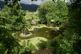 Картинка парк terra nostra ilha de miguel португалия природа растения