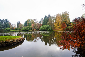Картинка sheffield park garden англия природа парк цветы растения река