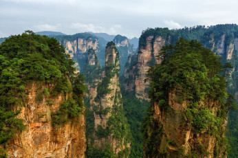 Картинка природа горы лес пандора утесы