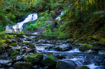 Картинка природа реки озера лес вода