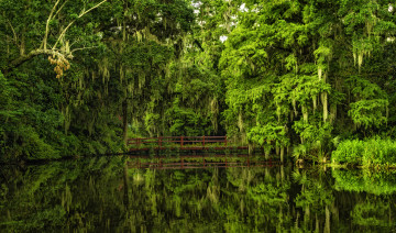 Картинка magnolia plantation gardens charleston south carolina природа парк мост южная каролина Чарлстон сады магнолий отражение