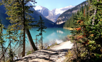 Картинка lake louise природа реки озера тропинка горы лес озеро
