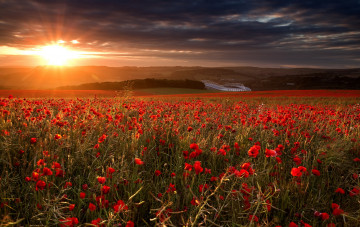 Картинка природа восходы закаты закат маки