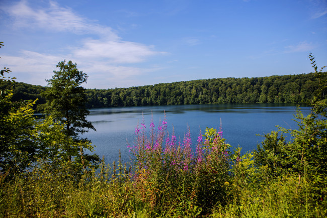 Обои картинки фото германия, закслер, природа, реки, озера, река, камыши