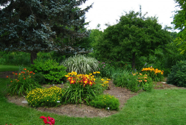 Обои картинки фото природа, парк, дорожки, клумбы, цветы