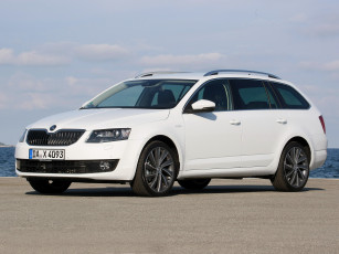 обоя автомобили, skoda, octavia, combi, laurin, klement, 5e, 2014г, светлый