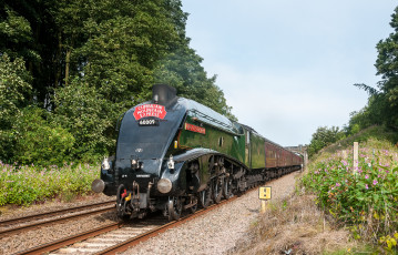 Картинка техника паровозы вагоны дорога рельсы паровоз железная