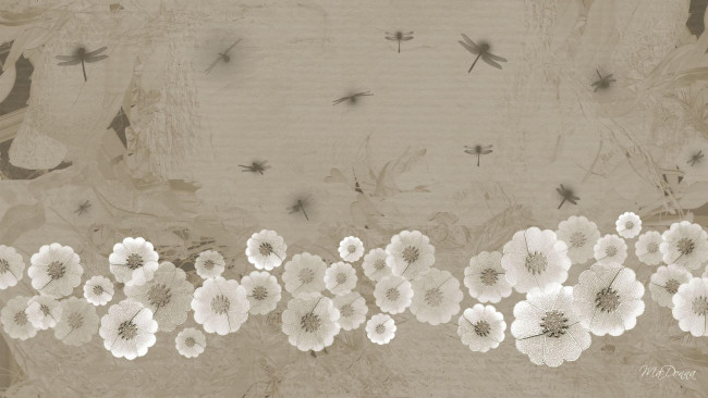 Обои картинки фото векторная графика, цветы, узор