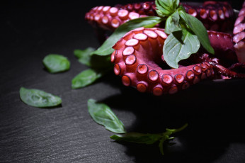 Картинка еда рыба +морепродукты +суши +роллы базили морепродукты щупальца осьминог листья